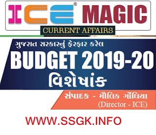 SPECIAL ISSUE ICE - BUDGET 2019